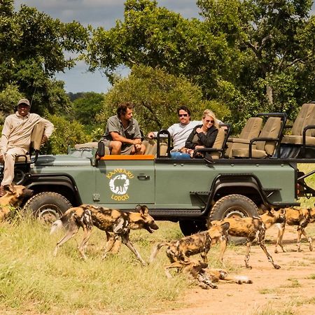 Kambaku Safari Lodge 팀바바티 수렵금지구역 외부 사진