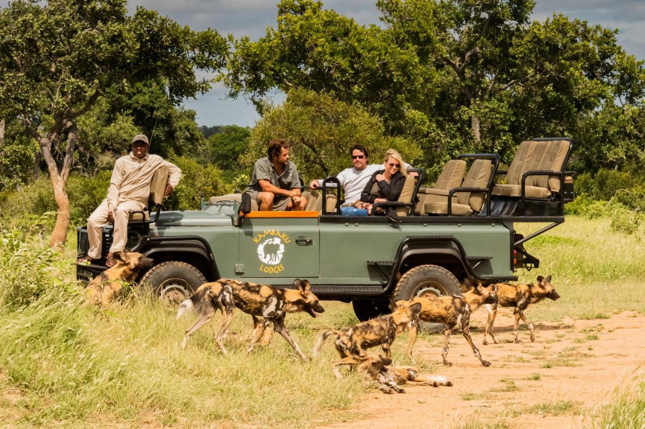 Kambaku Safari Lodge 팀바바티 수렵금지구역 외부 사진