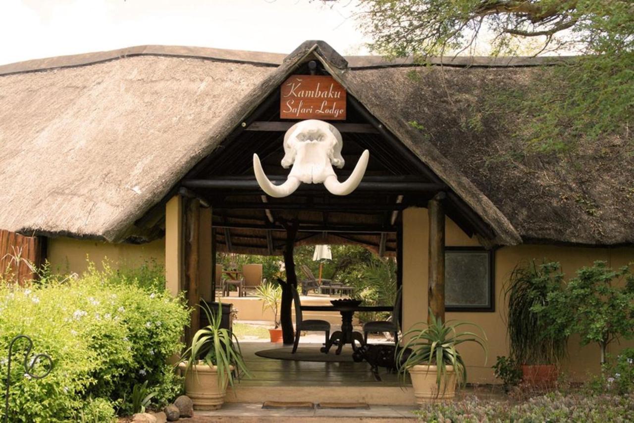 Kambaku Safari Lodge 팀바바티 수렵금지구역 외부 사진