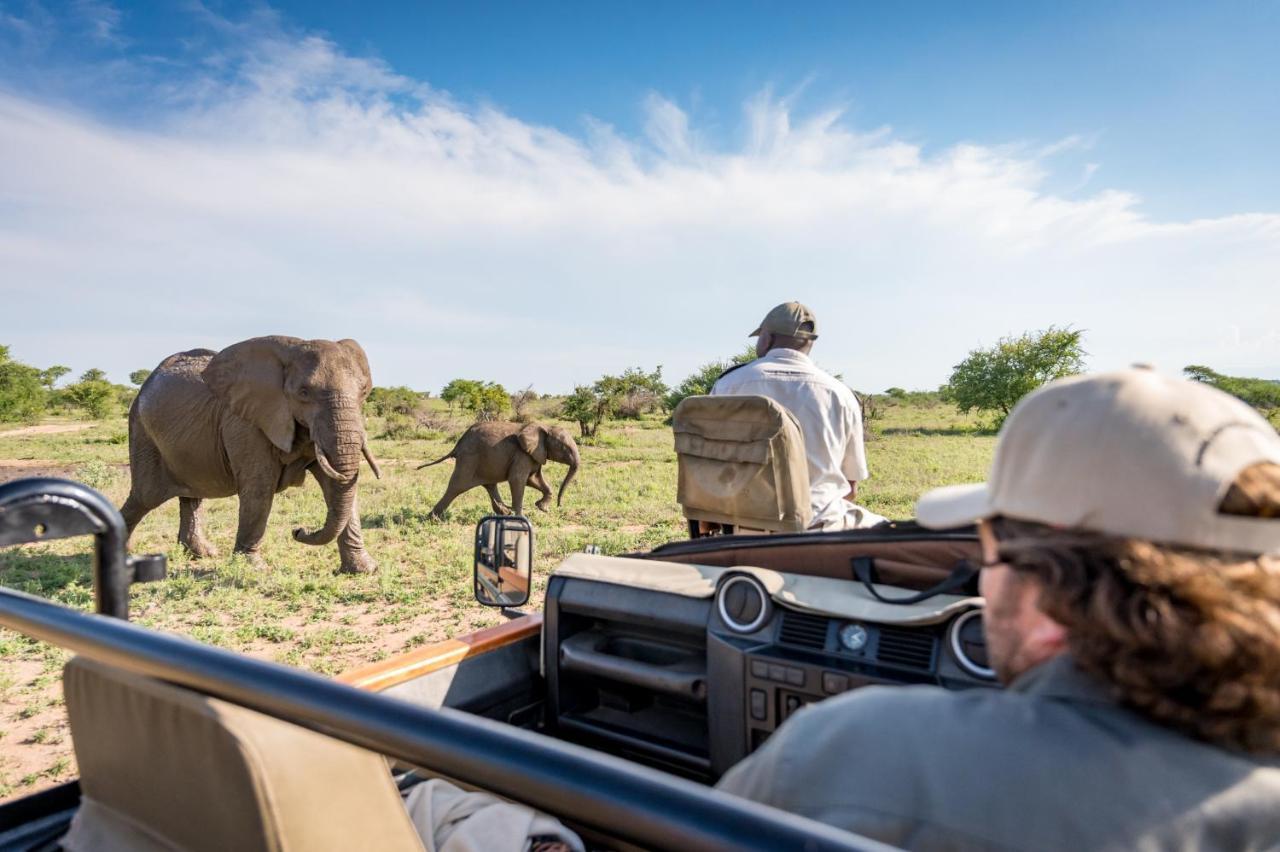 Kambaku Safari Lodge 팀바바티 수렵금지구역 외부 사진