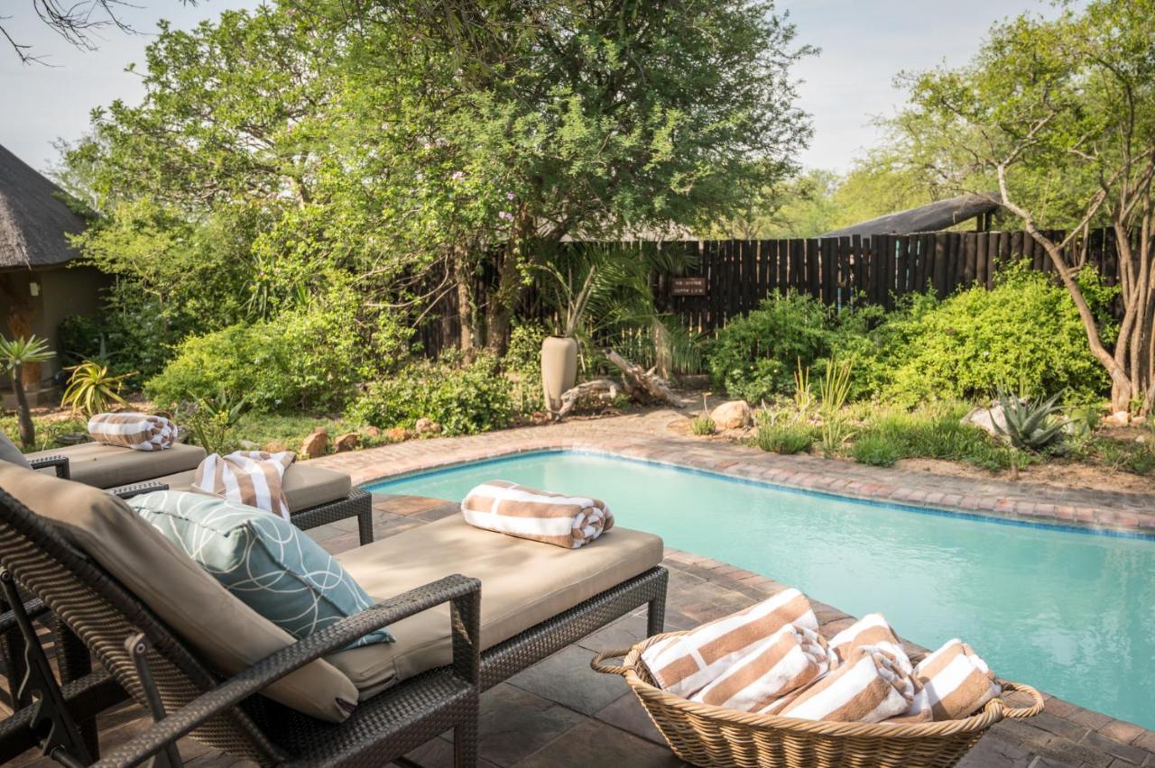 Kambaku Safari Lodge 팀바바티 수렵금지구역 외부 사진