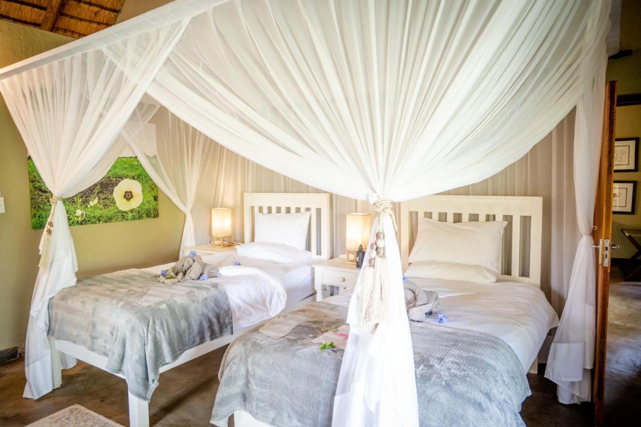 Kambaku Safari Lodge 팀바바티 수렵금지구역 외부 사진