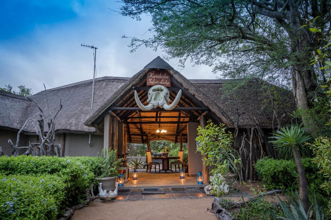 Kambaku Safari Lodge 팀바바티 수렵금지구역 외부 사진