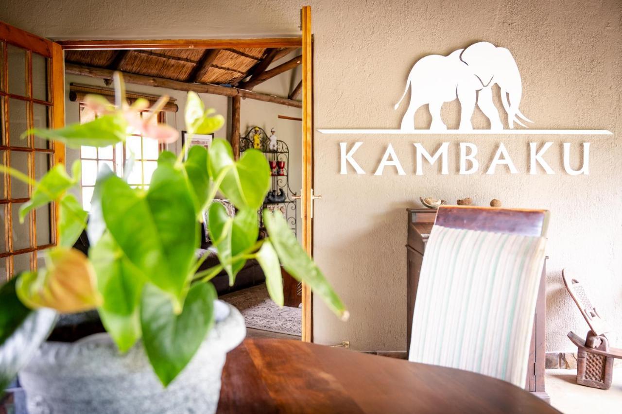 Kambaku Safari Lodge 팀바바티 수렵금지구역 외부 사진