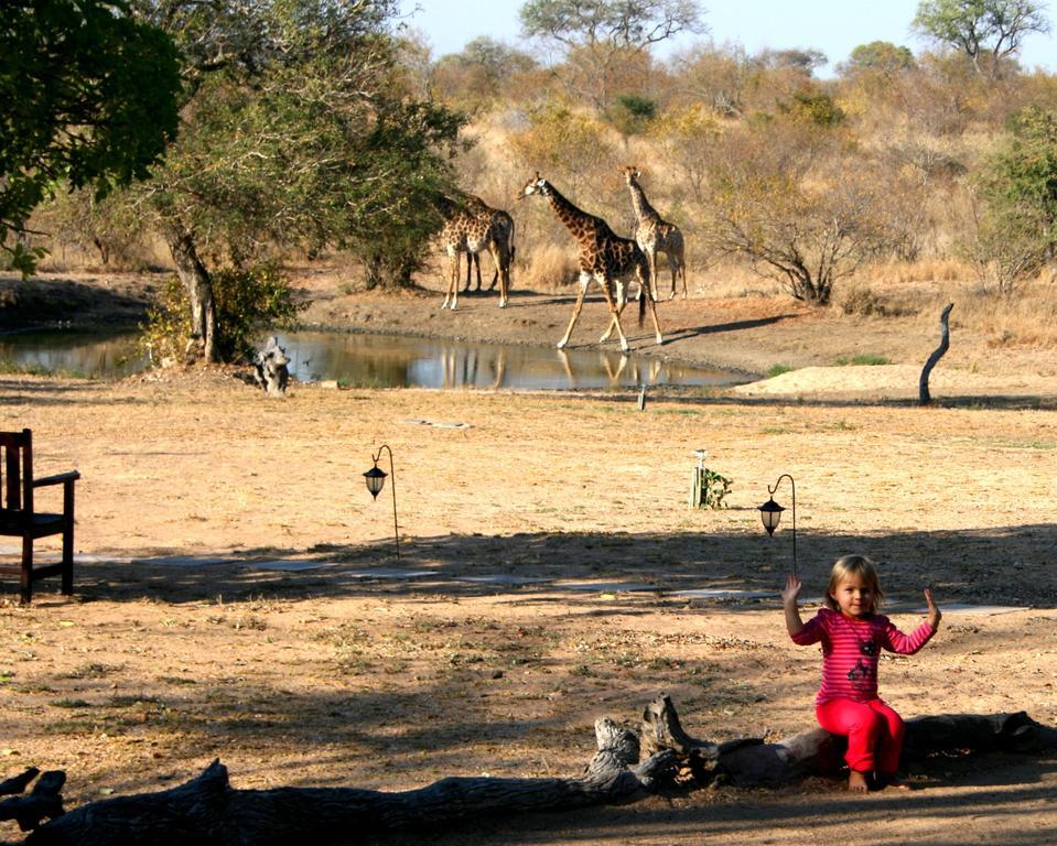 Kambaku Safari Lodge 팀바바티 수렵금지구역 외부 사진