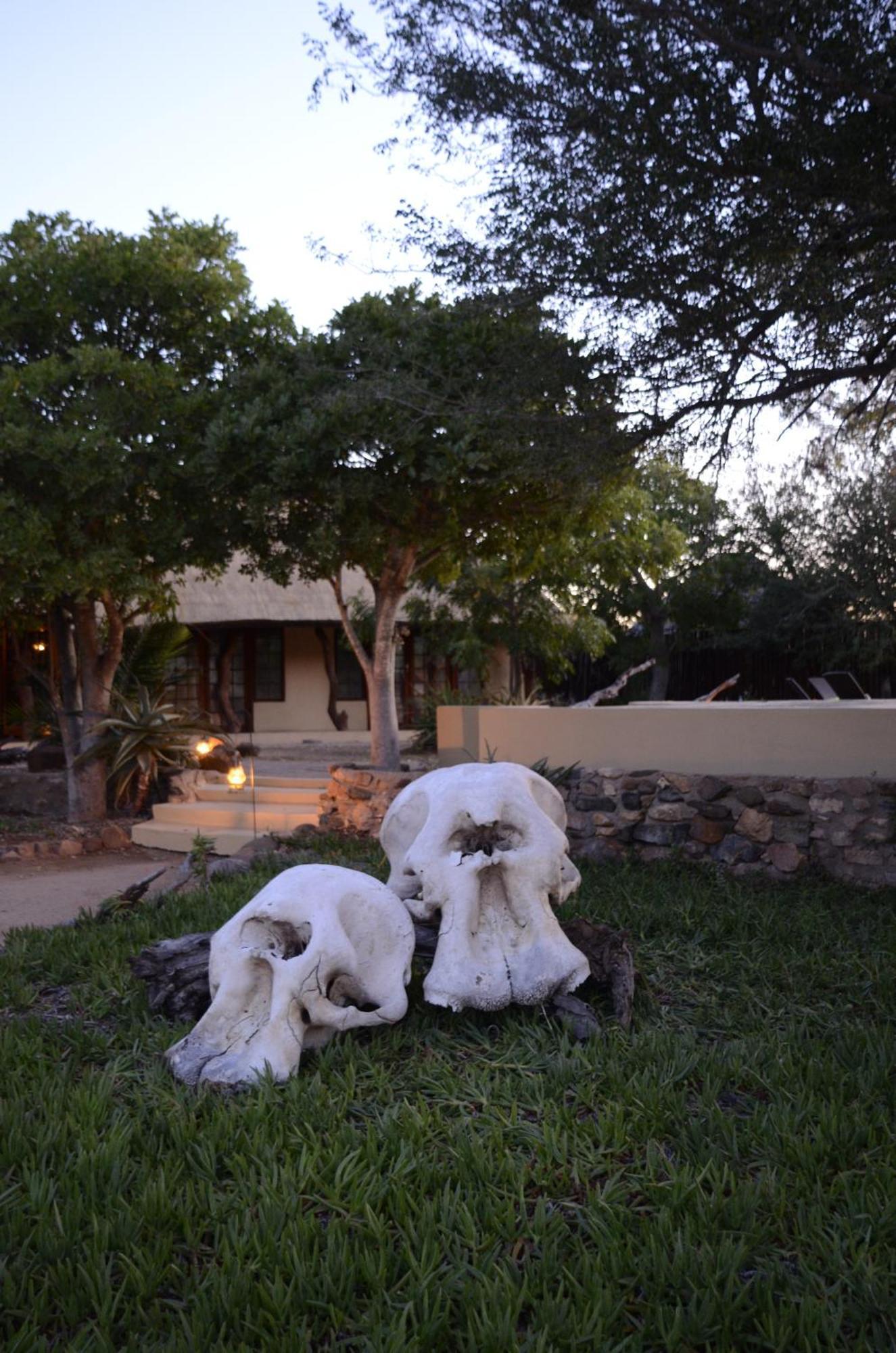 Kambaku Safari Lodge 팀바바티 수렵금지구역 외부 사진